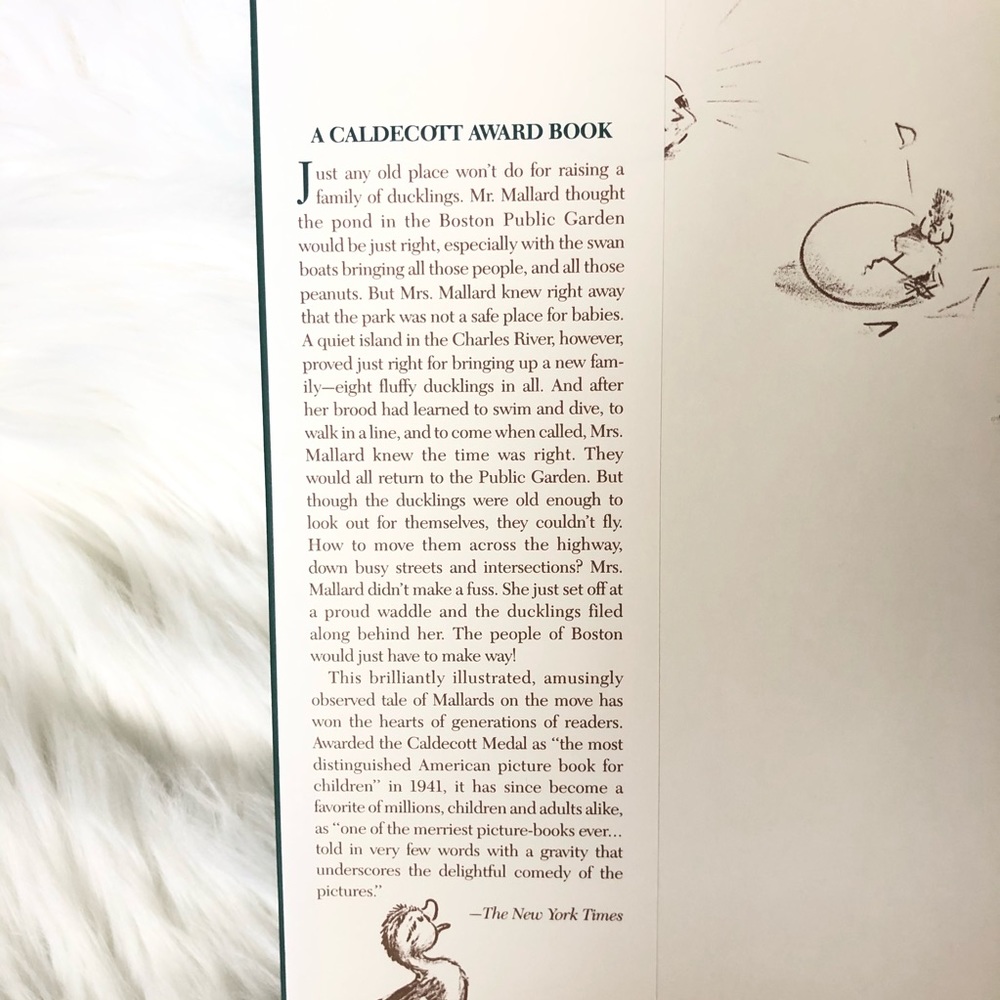 Children’s Books - Picture 8 of 15